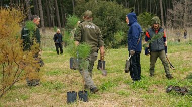 Plantaron nuevos árboles en 10 y 107: ¿La "Necochea del No" es la única que cuida el parque?