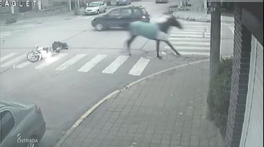 Video: El momento exacto en el que un caballo atropelló a una motociclista en el centro de Necochea