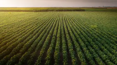 Alivio fiscal para el agro: la baja de retenciones inyectará hasta $1.500 millones al país