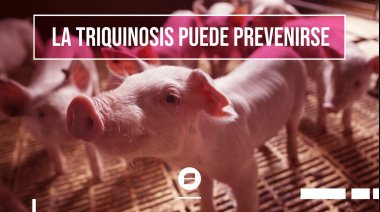 Advertencia de Bromatología por triquinosis en Necochea