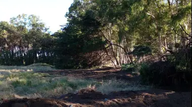 Canchas de Tenis en el Parque: Una entrega que huele a podrido desde que se aprobó la ordenanza