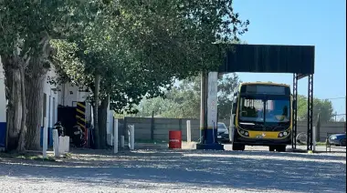 Colectivos: Concejales reclaman al Ejecutivo que responda los pedidos de informe