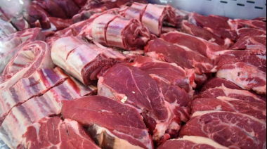 El consumo de carne cayó en febrero un 9,3% mientras se espera un nuevo derrumbe