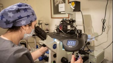 Usan Inteligencia Artificial para tratamientos de fertilidad asistida en Mar del Plata