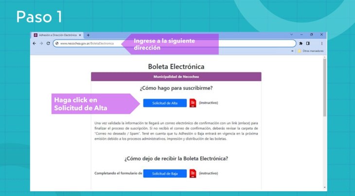 tasas, despapelizacion, instructivo, recaudacion