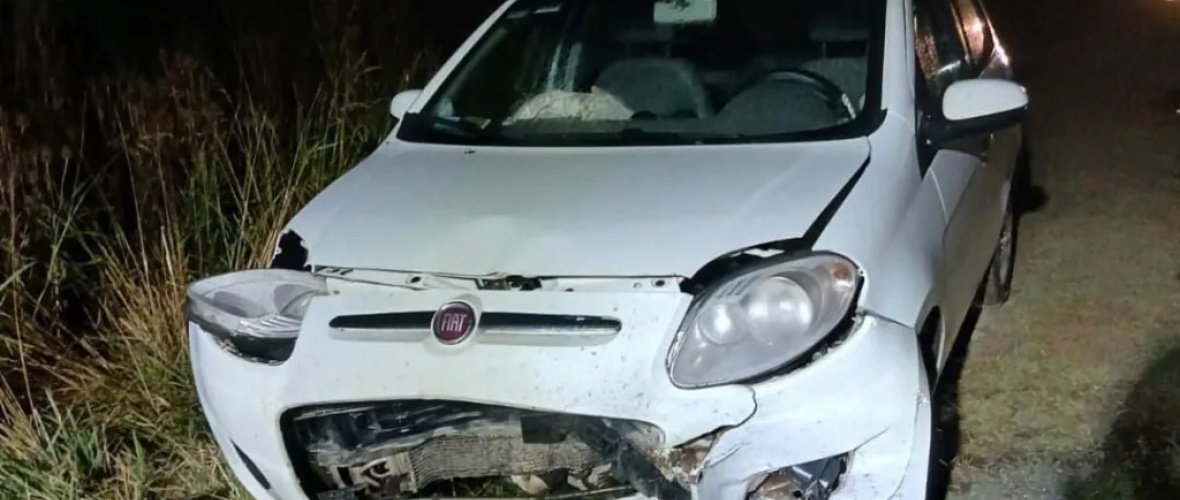 Tragedia en la Ruta 88: Un hombre murió tras una cadena de choques provocada por un carpincho