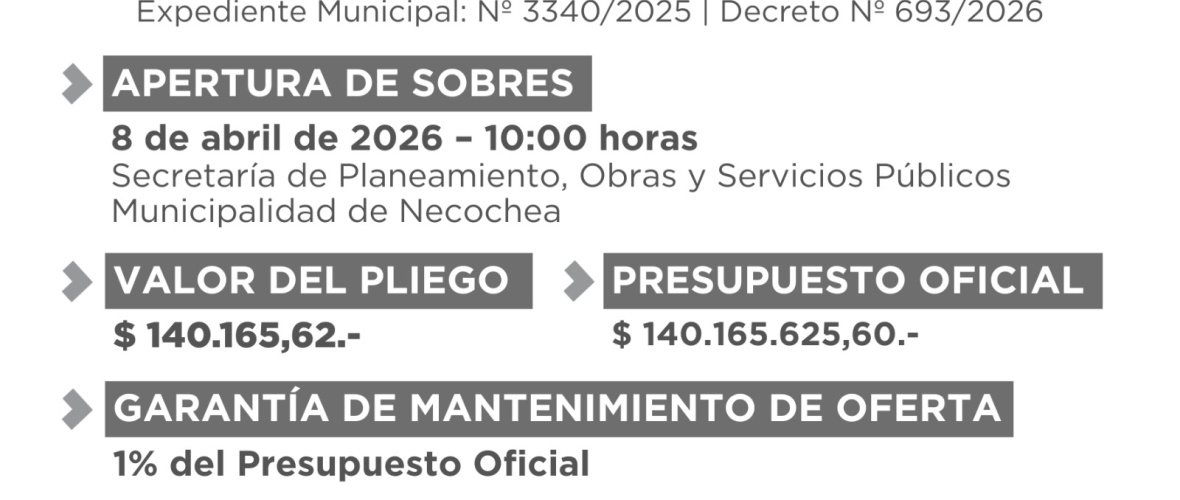 Transparencia 0: ¿En qué se gastará las Muni los 140 millones de pesos de la primera licitación del año?