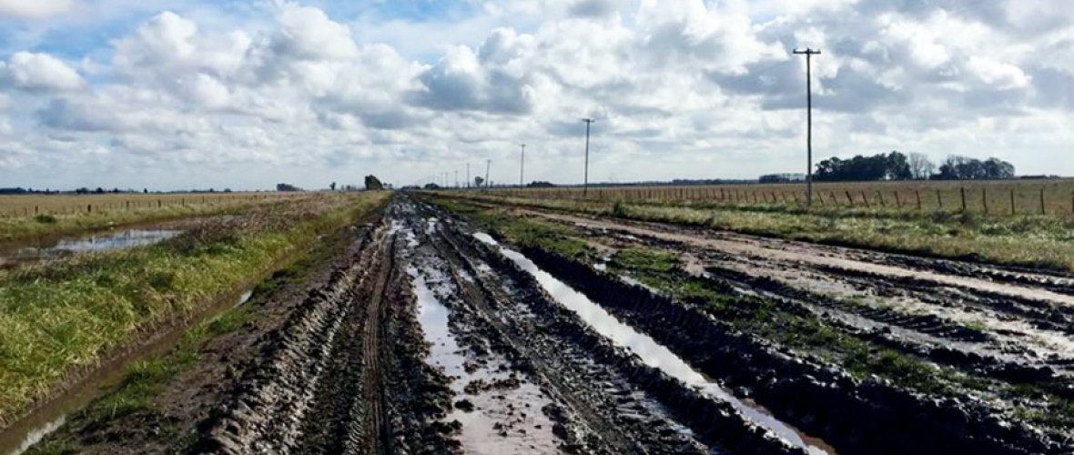 Tasa vial en la provincia de Buenos Aires: Fallos judiciales, reclamos rurales y la presión sobre los municipios
