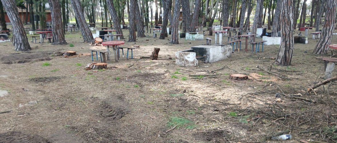 Nueva Necochea Negocios S.A: Talan árboles y se preparan para cerrar otro sector del Parque muy usado por los vecinos