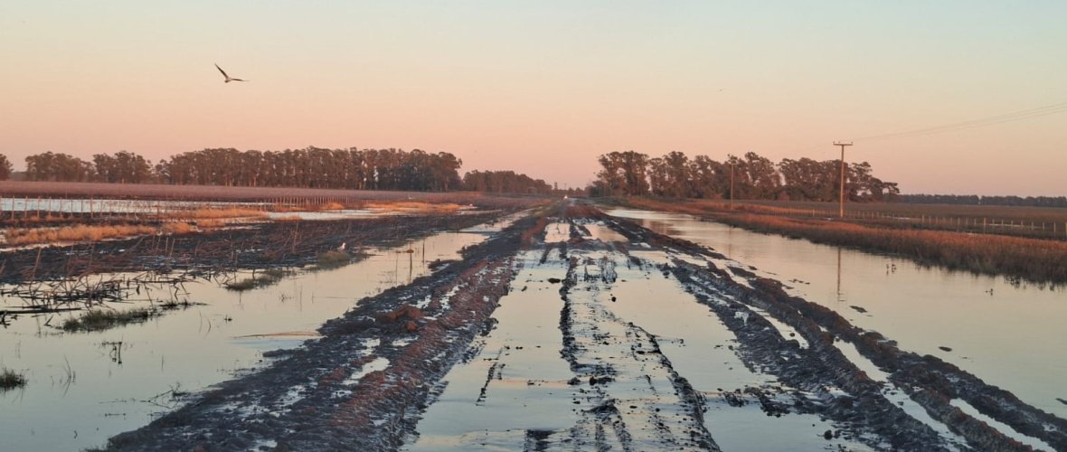 Nación declaró la emergencia agropecuaria en Necochea por las inundaciones