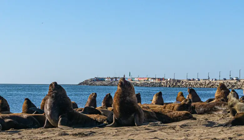 Cómo estará el clima en Necochea y Quequén este viernes 14-03