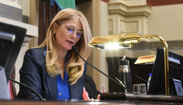 Reelección indefinida en Provincia: El Senado bonaerense dio media sanción a la polémica reforma