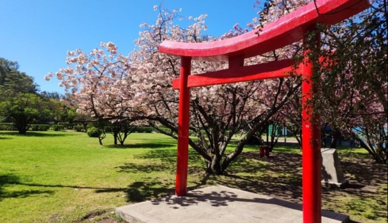 Cómo estará el clima en Necochea y Quequén este miércoles 27-08