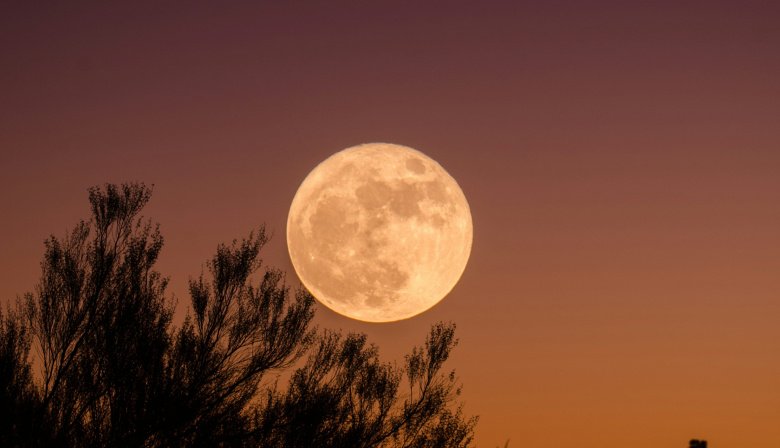 Chequeá el calendario lunar de septiembre