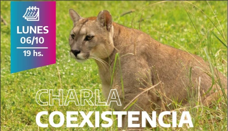 Pumas en San Cayetano: Realizan una charla para que el campo "coexista" con las especies autóctonas