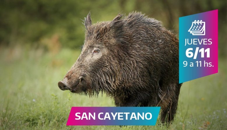 Jornada sobre control de población de Jabalí en San Cayetano