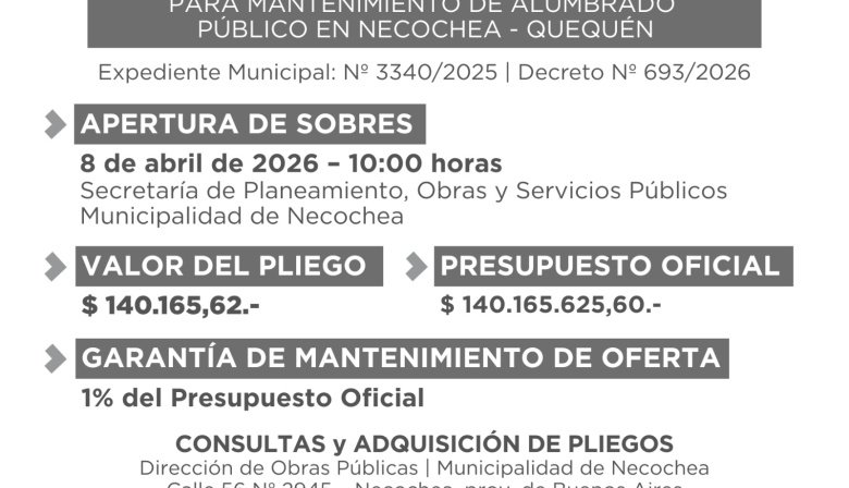 Transparencia 0: ¿En qué se gastará las Muni los 140 millones de pesos de la primera licitación del año?