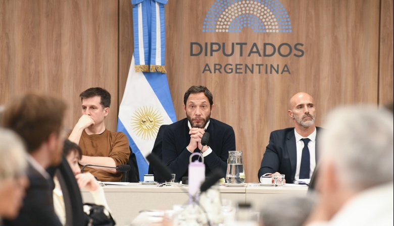 Caso $Libra: La Comisión Investigadora pide que Javier y Karina Milei den explicaciones