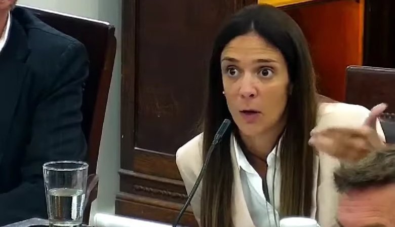 Pedirán informes a la Usina sobre las causas exactas del apagón del viernes 13