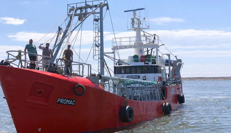 Crisis en la pesca: Advierten que la industria fresquera está al borde de la parálisis por el aumento del combustible