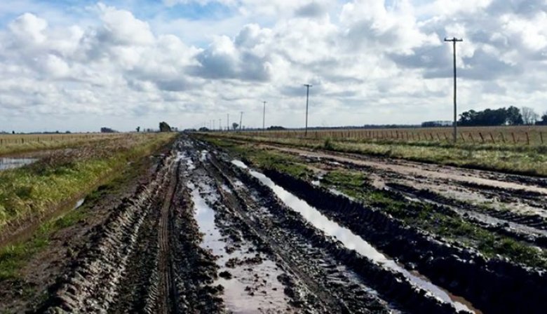 Tasa vial en la provincia de Buenos Aires: Fallos judiciales, reclamos rurales y la presión sobre los municipios