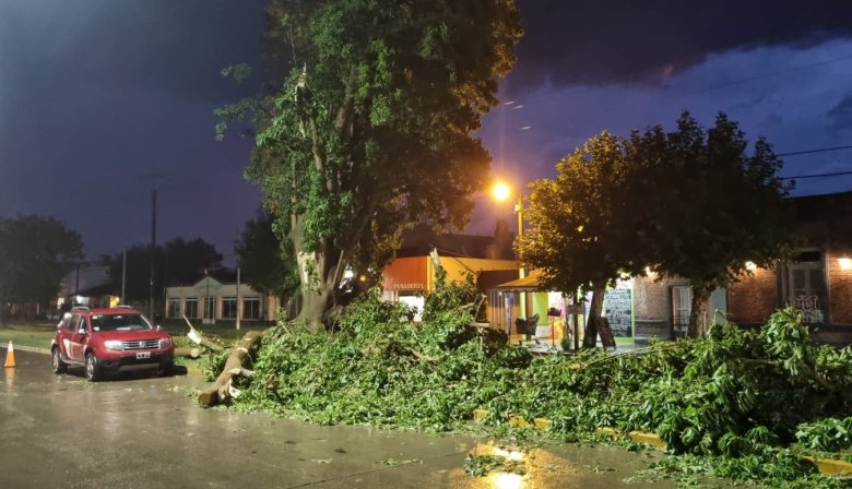 Temporal: El Banco Provincia lanzará una línea de créditos especiales para los damnificados