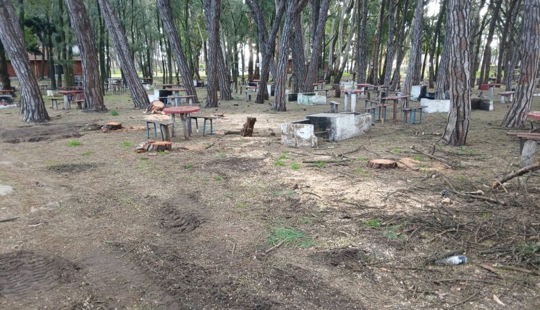 Nueva Necochea Negocios S.A: Talan árboles y se preparan para cerrar otro sector del Parque muy usado por los vecinos
