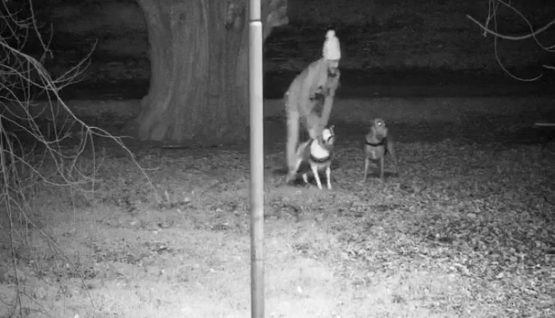 Indignación en Necochea por un caso de maltrato animal