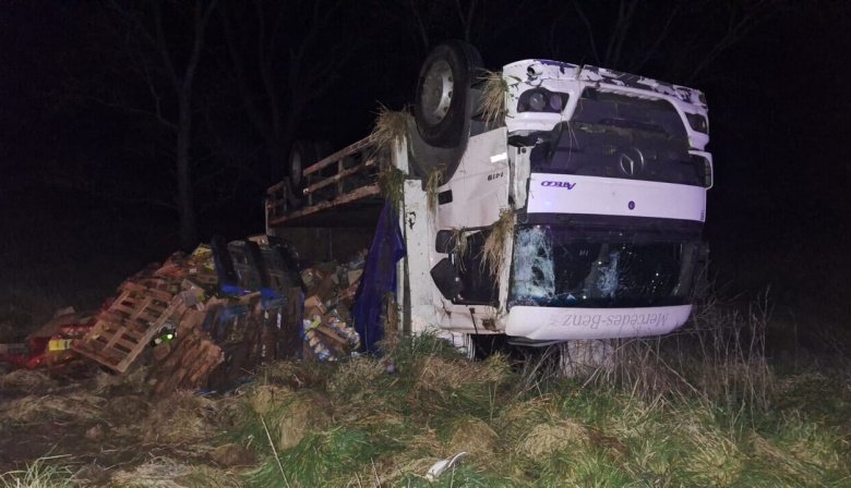 Accidente en la Ruta 55: Volcó un camión y asistieron al chofer y su acompañante