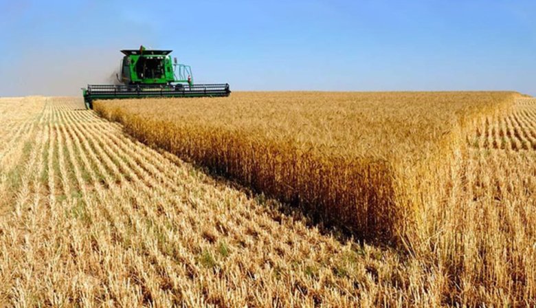 AgroENSO: La nueva herramienta del CONICET y el INTA que permite anticipar el impacto de El Niño en los cultivos