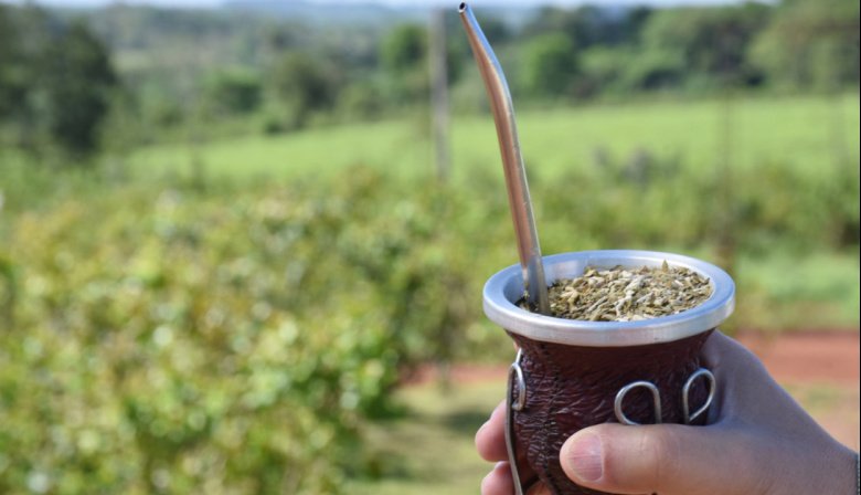 Misiones presiona para ponerle un piso al precio de la yerba y la iniciativa podría llegar directo a las góndolas