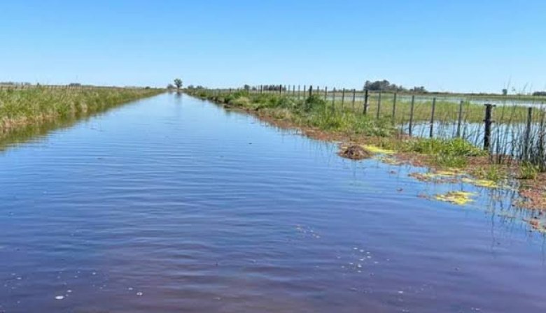 Inundaciones: Declaran la emergencia agropecuaria en parte de Necochea y habrá beneficios para productores