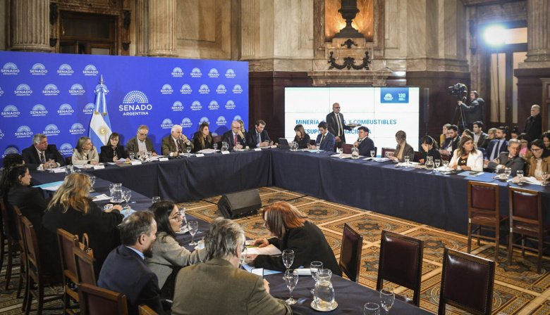 Zona Fría: El Gobierno logró dictamen en el Senado y busca eliminar el beneficio para más de 90 distritos bonaerenses