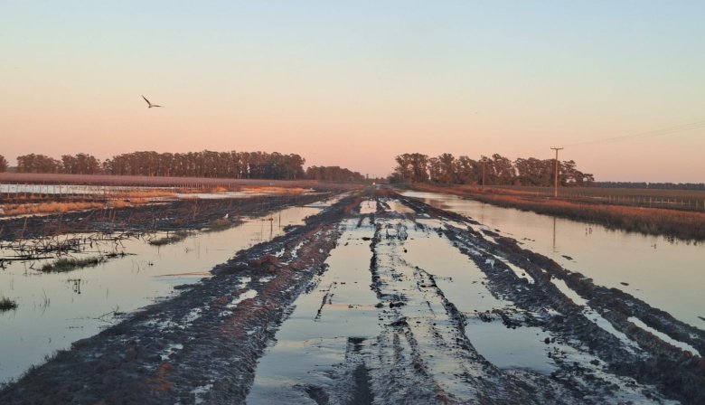 Nación declaró la emergencia agropecuaria en Necochea por las inundaciones