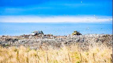 Emergencia ambiental: Se producen 3 mil toneladas de basura mensuales en Necochea