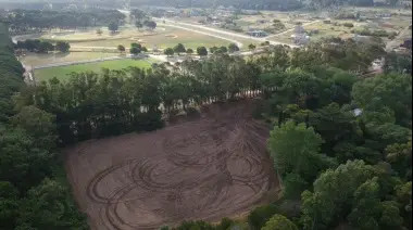 ¿Por qué es un robo?: Las leyes que violan la Municipalidad y el concejal tenista para entregar terrenos del parque