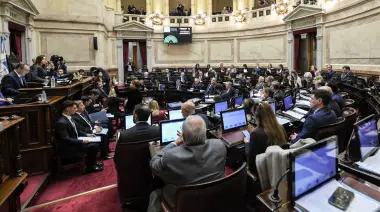 El Senado rechazó el proyecto de ley de Ficha Limpia