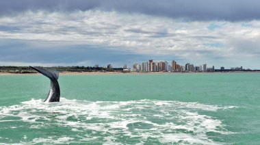 Cómo estará el clima en Necochea y Quequén este jueves 22-05