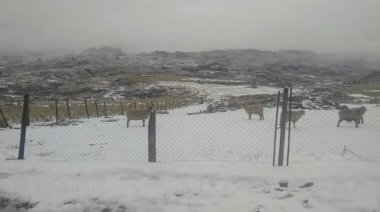 Ola polar: En Córdoba más de 50 localidades marcaron temperaturas bajo cero