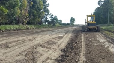 Caminos rurales: EMSUR trabajó caminos rurales y respondió  350 reclamos