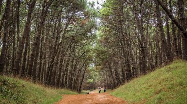 Cómo estará el clima en Necochea y Quequén este domingo 15-06