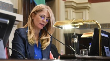 Reelección indefinida en Provincia: El Senado bonaerense dio media sanción a la polémica reforma