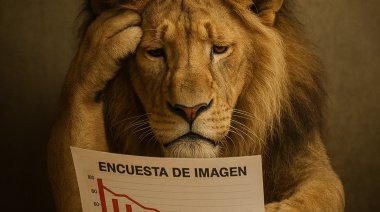 Milei cae fuerte en las encuestas y por primera vez desde que asumió se registra un apoyo creciente al peronismo