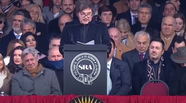 Milei anunció una baja en retenciones a la carne, soja y trigo