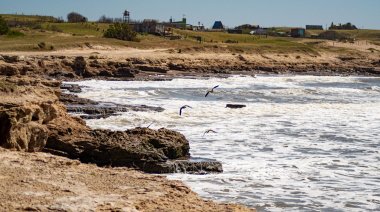 Buscan crear un camping en Balneario Los Ángeles