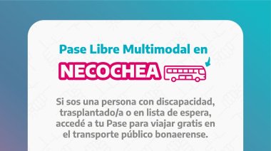 Pase Libre Multimodal: Entregarán en el Puerto subsidios al transporte para personas con discapacidad
