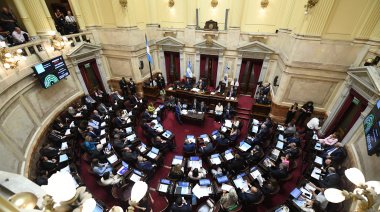 Los senadores cobrarán 10,2 millones de pesos en bruto desde noviembre