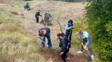 Guardaparques y estudiantes plantaron membrillos y álamos en el Parque Miguel Lillo