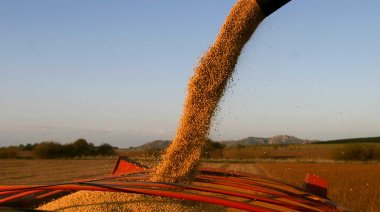 El Gobierno extendió las "retenciones 0" a las carnes bovinas y avícolas