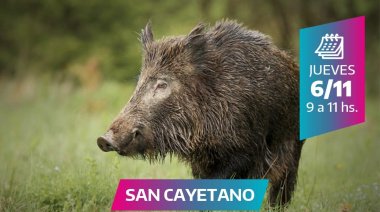 Jornada sobre control de población de Jabalí en San Cayetano